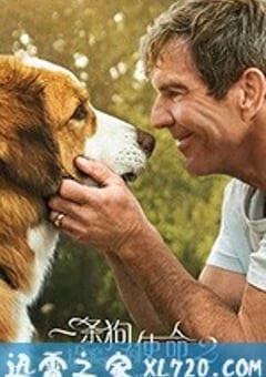 一条狗的使命2 A Dog’s Journey (2019) [迅雷BT磁力免费下载]