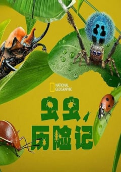 2024年美国纪录片《虫虫历险记》全5集 [迅雷BT磁力免费下载]