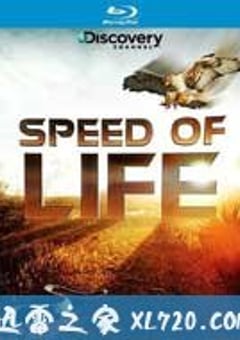 探索频道：生命的速度 Discovery Channel ：Speed of Life (2010) [迅雷BT磁力免费下载]
