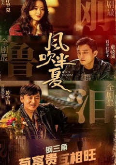 2022年国产大陆电视剧《风吹半夏》全36集 [迅雷BT磁力免费下载]