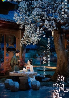 2023年国产大陆电视剧《灼灼风流》全40集 [迅雷BT磁力免费下载]