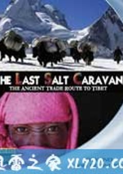 最后的盐道 The Last Salt Caravan（2009） [迅雷BT磁力免费下载]