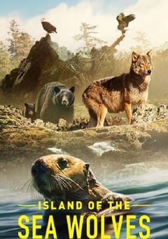 2022年英国纪录片《海狼之岛》全3集 [迅雷BT磁力免费下载]