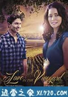 爱在葡萄园 Love in the Vineyard (2016) [迅雷BT磁力免费下载]