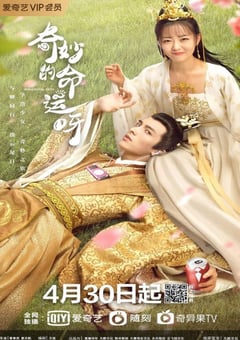 2021年国产大陆电视剧《奇妙的命运呀》全16集 [迅雷BT磁力免费下载]
