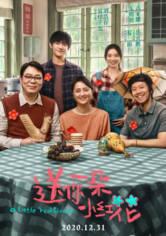 2020年国产7.5分剧情片《送你一朵小红花》HD国语中字 [迅雷BT磁力免费下载]