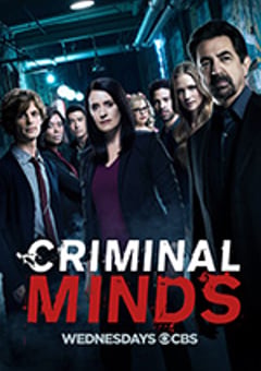 犯罪心理 第十三季 Criminal Minds Season 13 (2017) [迅雷BT磁力免费下载]