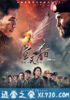 空天猎 (2017) [迅雷BT磁力免费下载]