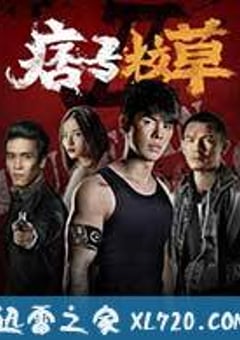 痞子校草2 (2016) [迅雷BT磁力免费下载]