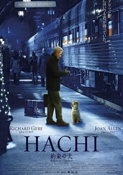 2009年美国经典剧情片《忠犬八公的故事》蓝光中英双字 [迅雷BT磁力免费下载]