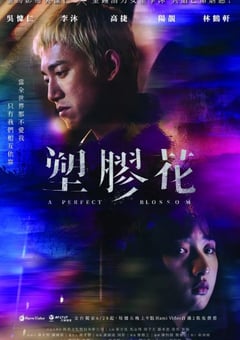 2024年中国台湾电视剧《塑胶花》全10集 [迅雷BT磁力免费下载]