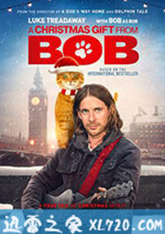 鲍勃的圣诞礼物 A Christmas Gift From Bob (2020) [迅雷BT磁力免费下载]