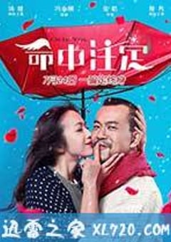 命中注定 (2015) [迅雷BT磁力免费下载]