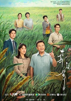 2024年国产大陆电视剧《幸福草》全24集 [迅雷BT磁力免费下载]