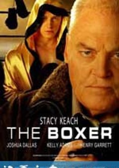拳手 the boxer (2009) [迅雷BT磁力免费下载]