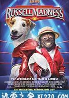 罗素的疯狂 Russell Madness (2015) [迅雷BT磁力免费下载]