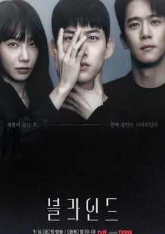 2022年韩国电视剧《Blind》全16集 [迅雷BT磁力免费下载]