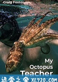 我的章鱼老师 My Octopus Teacher (2020) [迅雷BT磁力免费下载]