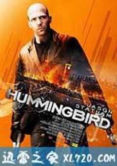 蜂鸟特攻 Hummingbird (2013) [迅雷BT磁力免费下载]