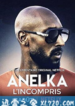 阿内尔卡：全是误解 Anelka: L’Incompris (2020) [迅雷BT磁力免费下载]