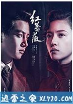 红蔷薇 (2017) [迅雷BT磁力免费下载]