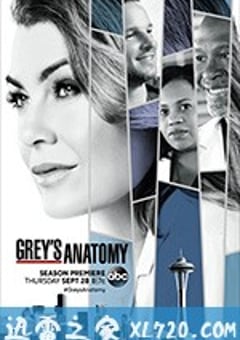 实习医生格蕾 第十四季 Grey’s Anatomy Season 14 (2017) [迅雷BT磁力免费下载]