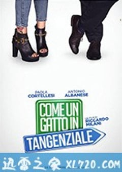 高速路上一只猫 Come un gatto in tangenziale (2017) [迅雷BT磁力免费下载]
