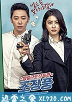特别勤务监督官赵昌风 특별근로감독관 조장풍 (2019) [迅雷BT磁力免费下载]