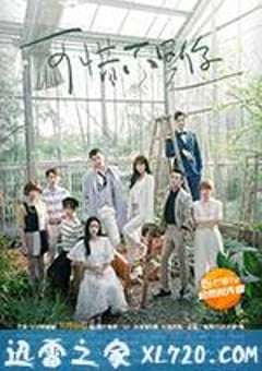 可惜不是你 (2017) [迅雷BT磁力免费下载]