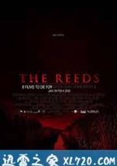 芦苇地 The Reeds (2009) [迅雷BT磁力免费下载]