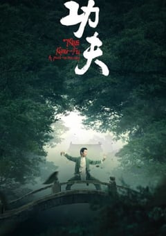 2023年国产大陆纪录片《功夫》全3集 [迅雷BT磁力免费下载]