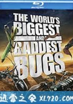 虫霸天下 World’s Biggest and Baddest Bugs (2009) [迅雷BT磁力免费下载]