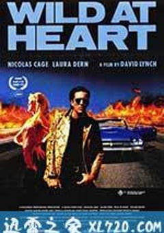 我心狂野 Wild at Heart (1990) [迅雷BT磁力免费下载]