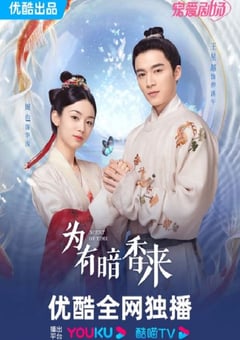 2023年国产大陆电视剧《为有暗香来》全30集 [迅雷BT磁力免费下载]