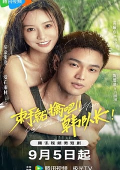 2023年国产大陆电视剧《束手就擒吧！韩队长》全23集 [迅雷BT磁力免费下载]