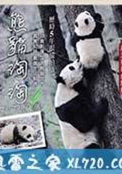 熊猫淘淘 (2014) [迅雷BT磁力免费下载]