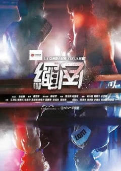 2022年中国香港电视剧《死角》全15集 [迅雷BT磁力免费下载]