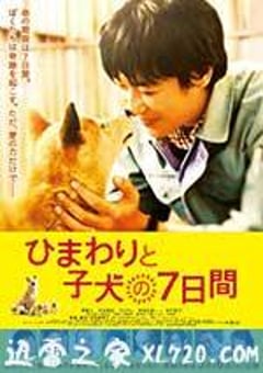 向日葵与幼犬的7天 ひまわりと子犬の7日間 (2013) [迅雷BT磁力免费下载]