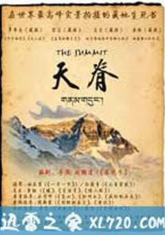天脊 (2010) [迅雷BT磁力免费下载]