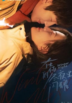 2022年国产大陆电视剧《在你的冬夜里闪耀》全24集 [迅雷BT磁力免费下载]