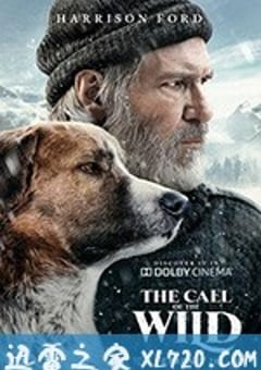 野性的呼唤 The Call of the Wild (2020) [迅雷BT磁力免费下载]