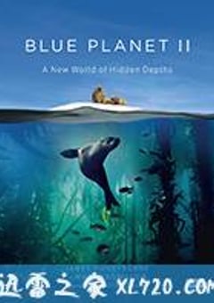 蓝色星球2 Blue Planet II (2017) [迅雷BT磁力免费下载]