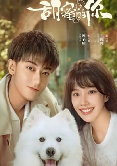 2023年国产大陆电视剧《甜蜜的你》全40集 [迅雷BT磁力免费下载]