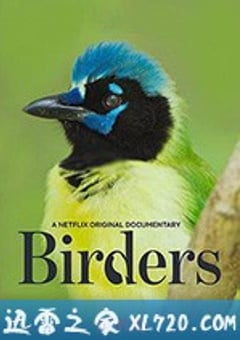 观鸟者 Birders (2019) [迅雷BT磁力免费下载]