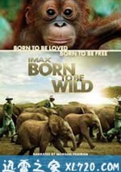 天生狂野 Born to Be Wild (2011) [迅雷BT磁力免费下载]