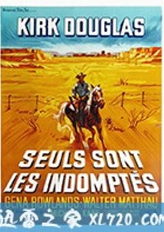自古英雄多寂寞 Lonely Are the Brave (1962) [迅雷BT磁力免费下载]