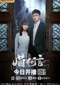 2022年国产大陆电视剧《喵不可言》全12集 [迅雷BT磁力免费下载]