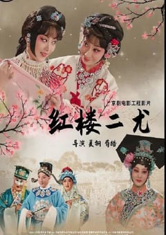 2021年国产戏曲片《红楼二尤》HD国语中英双字 [迅雷BT磁力免费下载]