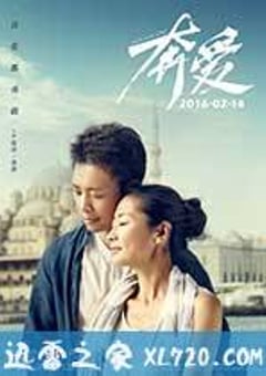 奔爱 (2016) [迅雷BT磁力免费下载]