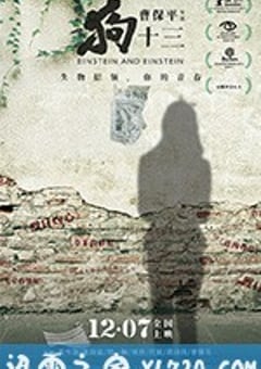 狗十三 (2018) [迅雷BT磁力免费下载]